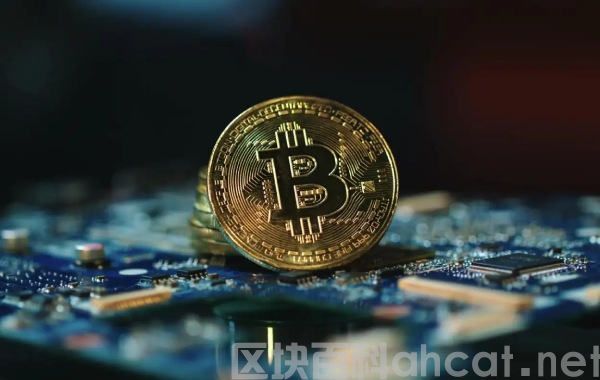 加密货币交易平台_usdt钱包